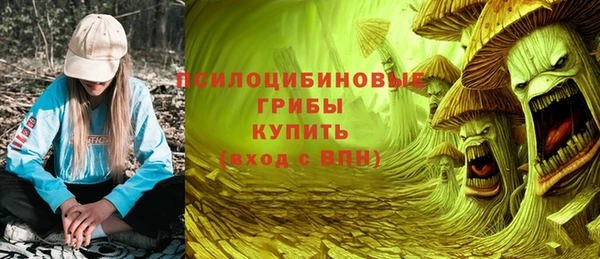 спайс Баксан
