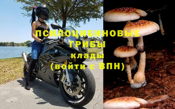 марки lsd Балахна