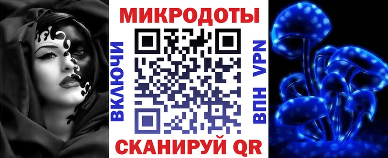 где купить   Белинский  Псилоцибиновые грибы Psilocybe 